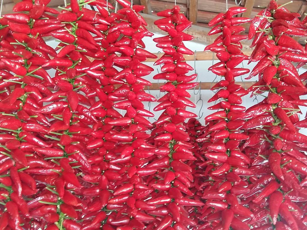 Villettemire 카포바티카노 외부 사진